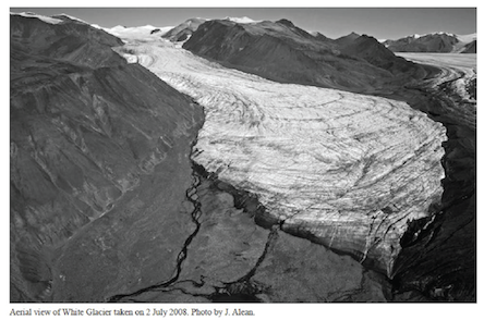 White Glacier in 2008
