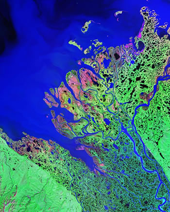 Infrared satellite image of the Mackenzie Delta