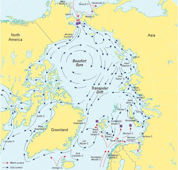 Arctic Ocean Circulation