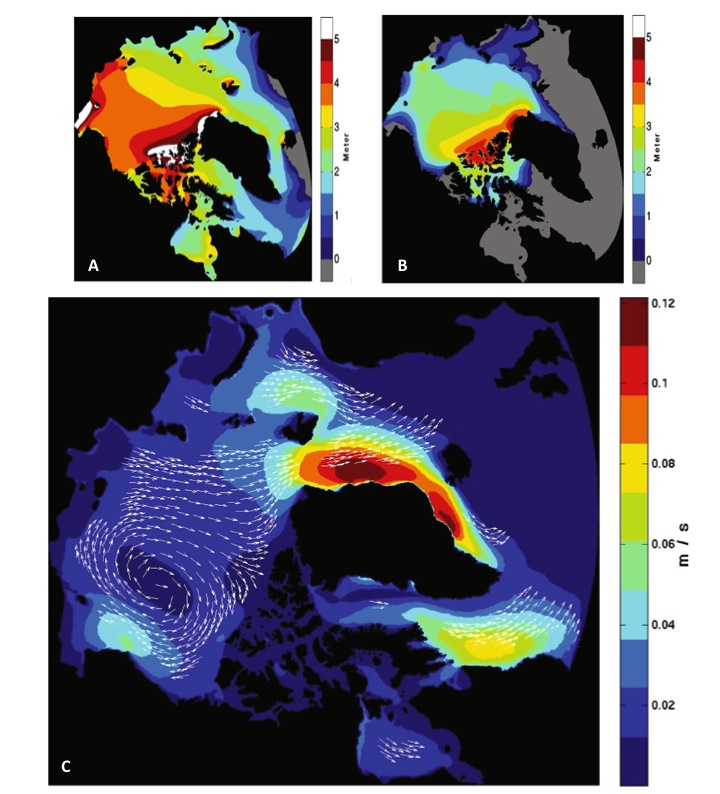 Sea Ice Motion