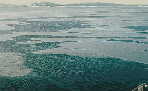 Sea Ice cutout