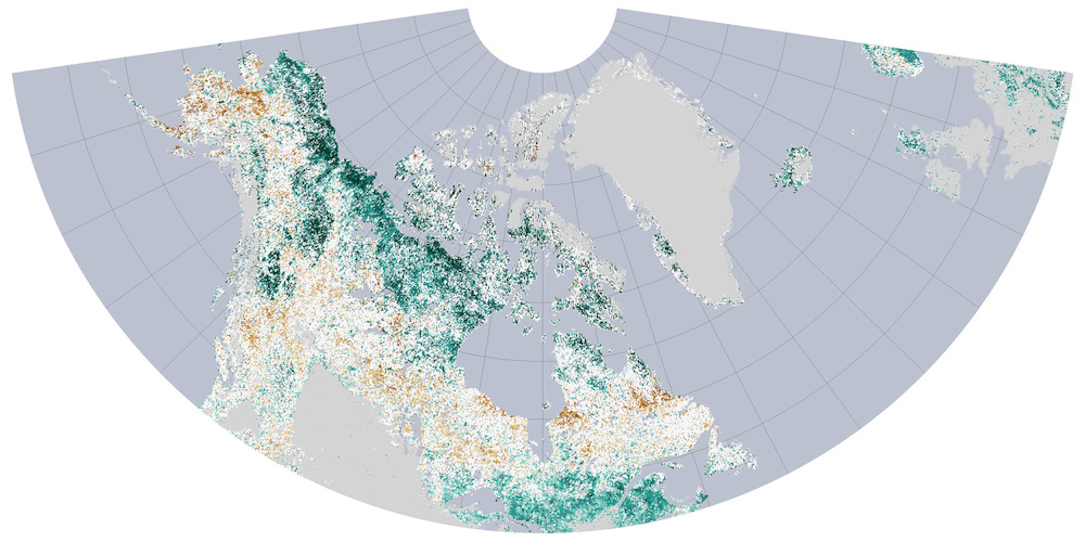 NASA Earth Observatory Calculated Normalized Difference Vegetation Index using MODIS and AVHRR instruments aboard NASA and NOAA satellites (1982-2011)